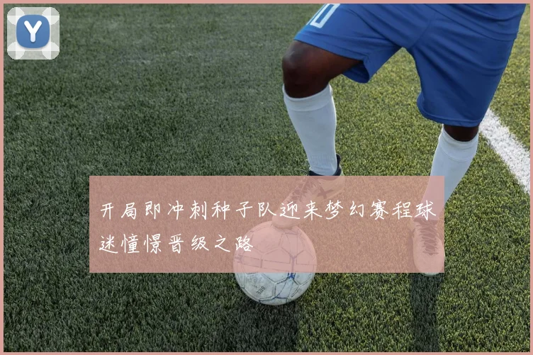 开局即冲刺种子队迎来梦幻赛程球迷憧憬晋级之路